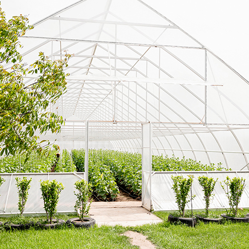 Polyhouse/Greenhouse GI Pipe Suppliers in Rajkot